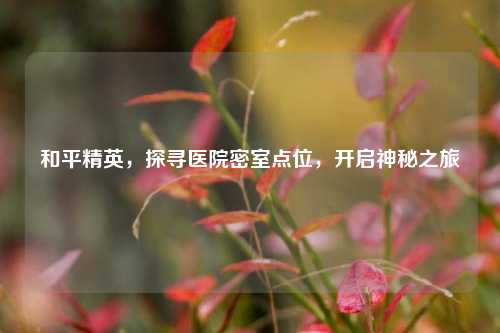 和平精英，探寻医院密室点位，开启神秘之旅