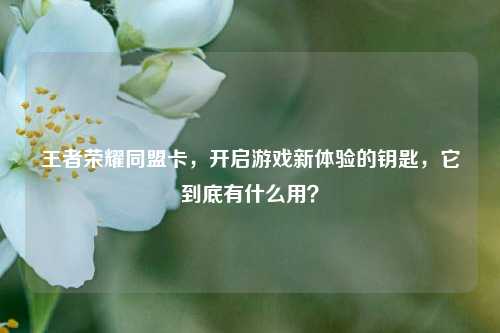 王者荣耀同盟卡，开启游戏新体验的钥匙，它到底有什么用？