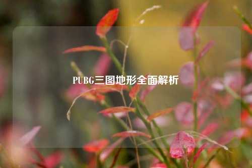 PUBG三图地形全面解析