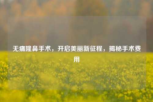 无痛隆鼻手术，开启美丽新征程，揭秘手术费用