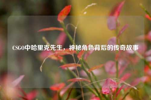CSGO中哈里克先生，神秘角色背后的传奇故事