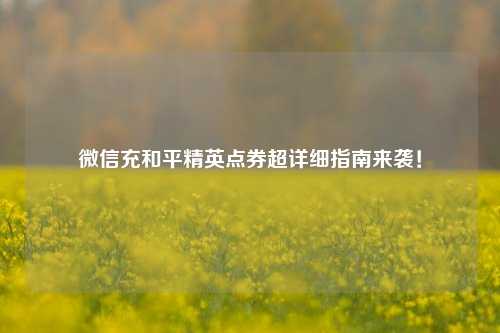 微信充和平精英点券超详细指南来袭！