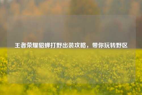 王者荣耀貂蝉打野出装攻略，带你玩转野区