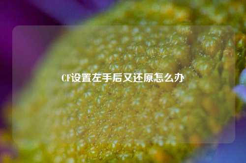 CF设置左手后又还原怎么办