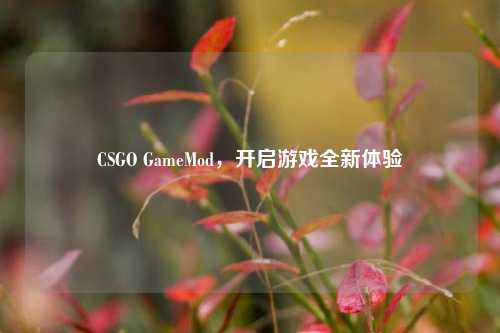 CSGO GameMod，开启游戏全新体验