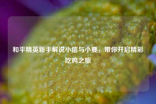 和平精英新手解说小信与小要，带你开启精彩吃鸡之旅
