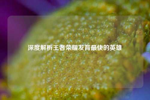 深度解析王者荣耀发育最快的英雄
