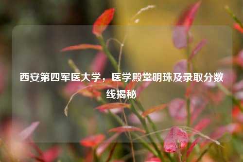 西安第四军医大学，医学殿堂明珠及录取分数线揭秘