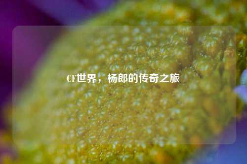 CF世界，杨郎的传奇之旅