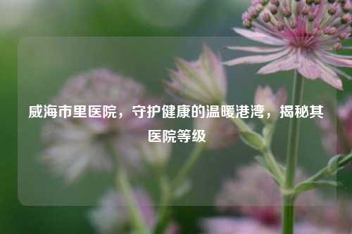 威海市里医院，守护健康的温暖港湾，揭秘其医院等级