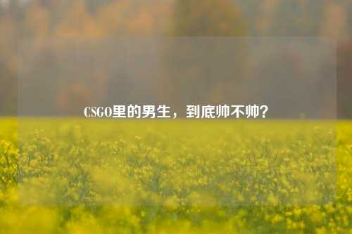 CSGO里的男生，到底帅不帅？