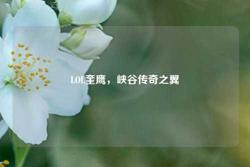 LOL奎鹰，峡谷传奇之翼
