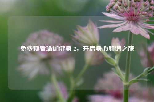 免费观看瑜伽健身 2，开启身心和谐之旅