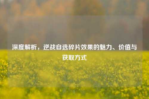 深度解析，逆战自选碎片效果的魅力、价值与获取方式