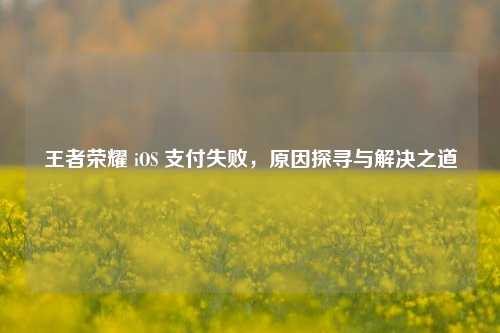 王者荣耀 iOS 支付失败，原因探寻与解决之道