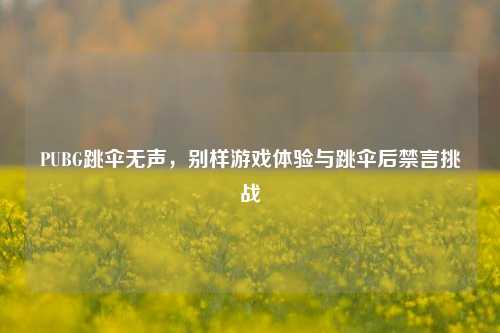 PUBG跳伞无声，别样游戏体验与跳伞后禁言挑战