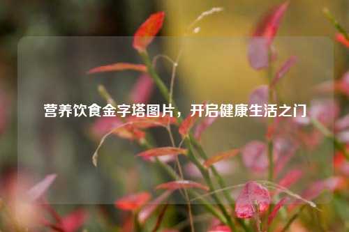 营养饮食金字塔图片，开启健康生活之门
