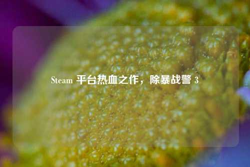 Steam 平台热血之作，除暴战警 3
