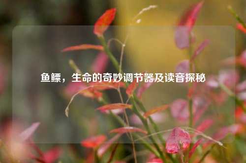 鱼鳔，生命的奇妙调节器及读音探秘