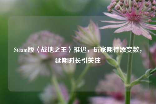 Steam版〈战地之王〉推迟，玩家期待添变数，延期时长引关注
