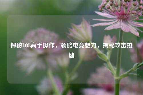 探秘LOL高手操作，领略电竞魅力，揭秘攻击按键