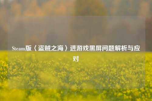 Steam版〈盗贼之海〉进游戏黑屏问题解析与应对