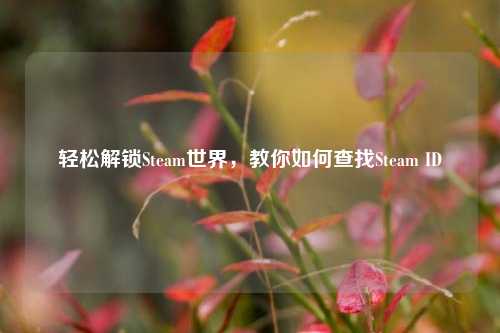 轻松解锁Steam世界，教你如何查找Steam ID