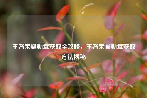 王者荣耀勋章获取全攻略，王者荣誉勋章获取 *** 揭秘