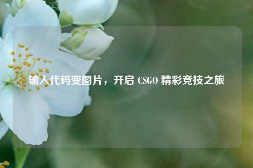 输入代码变图片，开启 CSGO 精彩竞技之旅