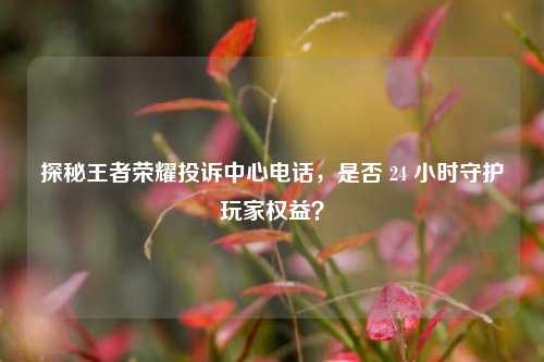 探秘王者荣耀投诉中心 *** ，是否 24 小时守护玩家权益？