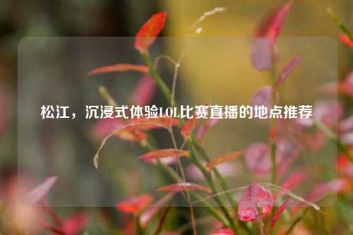 松江，沉浸式体验LOL比赛直播的地点推荐
