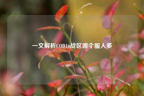 一文解析COD16战区哪个服人多