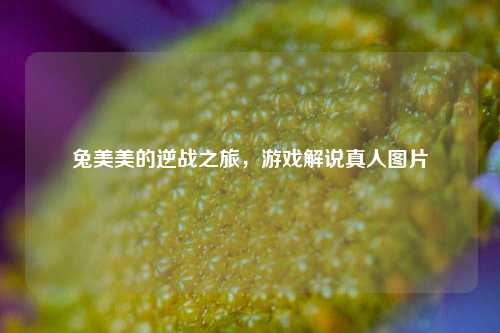 兔美美的逆战之旅，游戏解说真人图片
