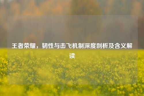 王者荣耀，韧性与击飞机制深度剖析及含义解读