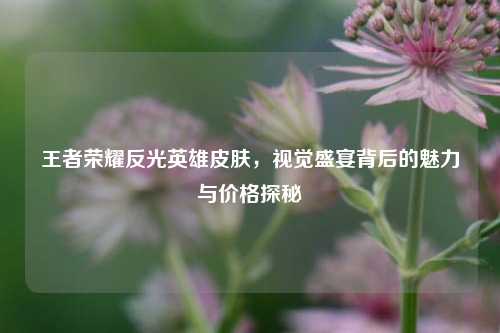 王者荣耀反光英雄皮肤，视觉盛宴背后的魅力与价格探秘
