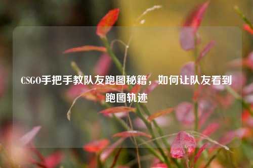 CSGO手把手教队友跑图秘籍，如何让队友看到跑图轨迹