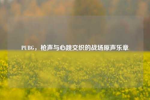 PUBG，枪声与心跳交织的战场原声乐章