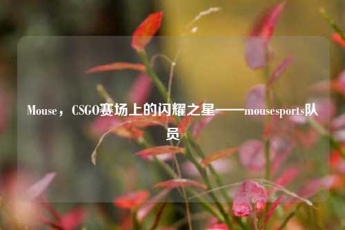 Mouse，CSGO赛场上的闪耀之星——mousesports队员