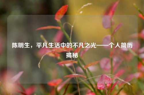 陈明生，平凡生活中的不凡之光——个人简历揭秘