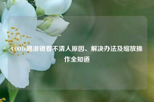COD16瞄准镜看不清人原因、解决办法及缩放操作全知道