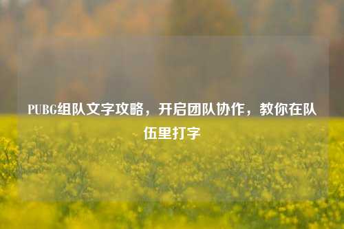 PUBG组队文字攻略，开启团队协作，教你在队伍里打字