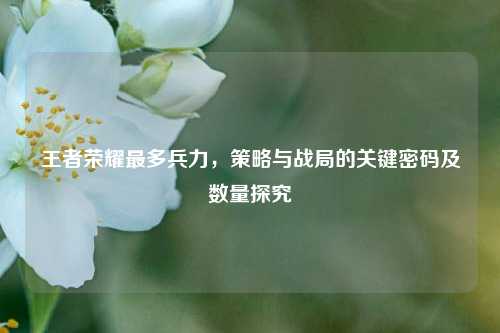 王者荣耀最多兵力，策略与战局的关键密码及数量探究