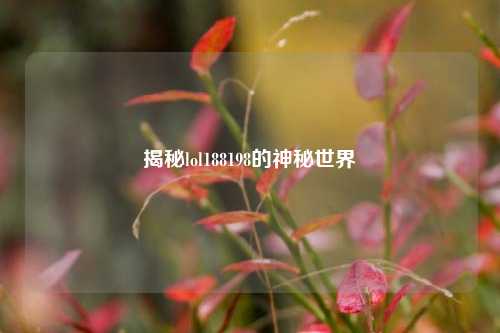 揭秘lol188198的神秘世界