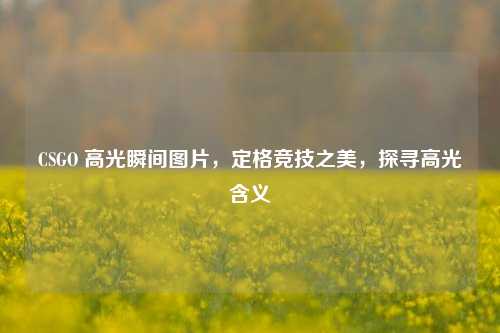 CSGO 高光瞬间图片，定格竞技之美，探寻高光含义