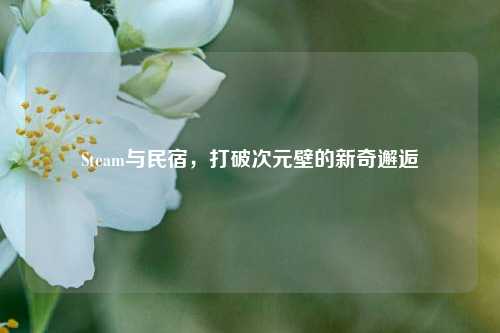 Steam与民宿，打破次元壁的新奇邂逅