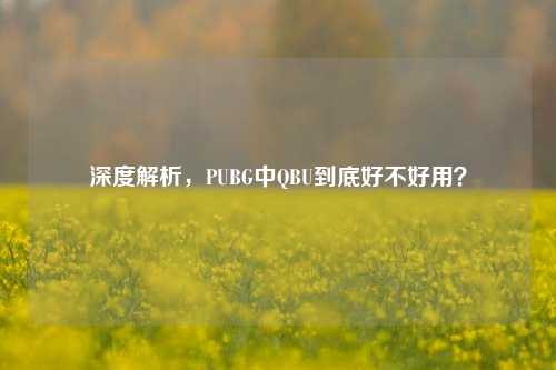 深度解析，PUBG中QBU到底好不好用？