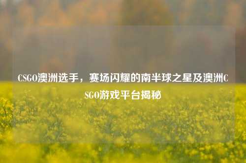 CSGO澳洲选手，赛场闪耀的南半球之星及澳洲CSGO游戏平台揭秘