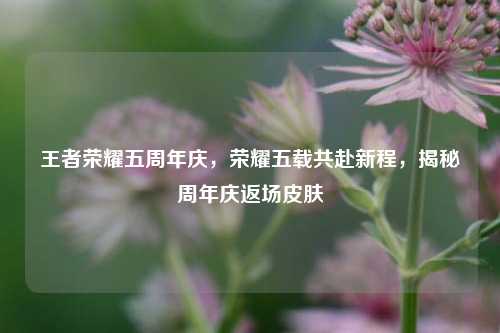 王者荣耀五周年庆，荣耀五载共赴新程，揭秘周年庆返场皮肤