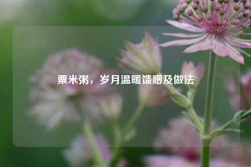 粟米粥，岁月温暖馈赠及做法