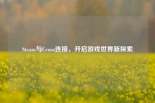 Steam与Cemu连接，开启游戏世界新探索